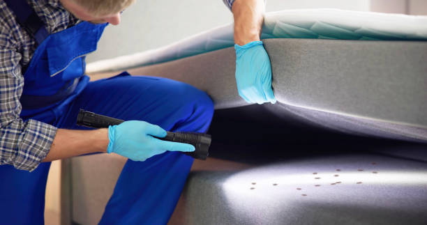 Pest Prevention Services in Kemp Mill, MD